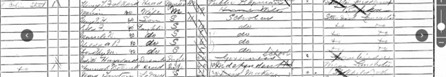 Extract from the 1911 census for the Folkard family